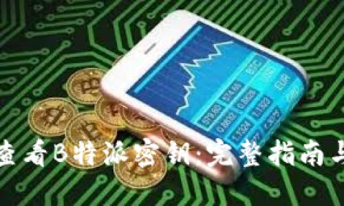 如何查看B特派密钥：完整指南与技巧