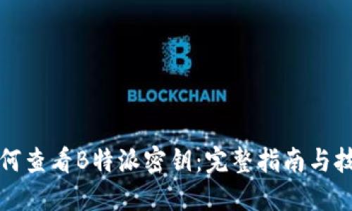如何查看B特派密钥：完整指南与技巧