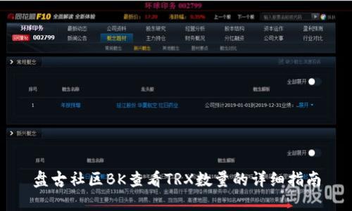 盘古社区BK查看TRX数量的详细指南